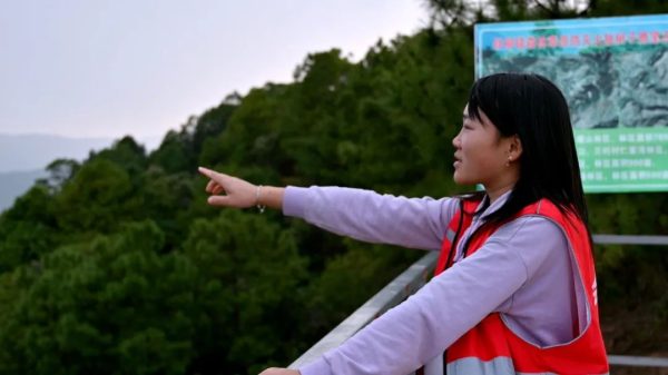 会东门户网资讯,会东县森林资源介绍插图 会东门户网资讯,会东县森林资源介绍插图