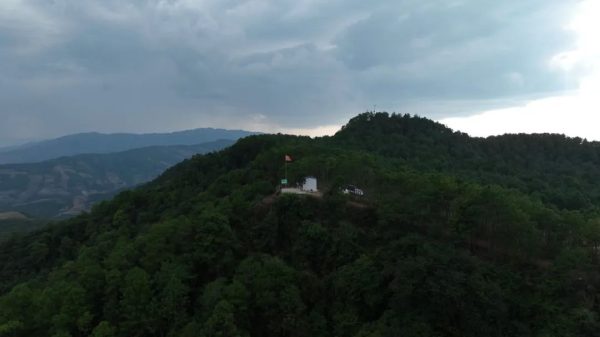 会东门户网资讯,会东县森林资源介绍插图1 会东门户网资讯,会东县森林资源介绍插图1