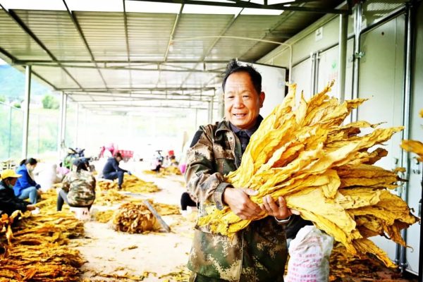 凉山会东县十大特产(盘点凉山州会东县的十大特产)?插图 凉山会东县十大特产(盘点凉山州会东县的十大特产)?插图