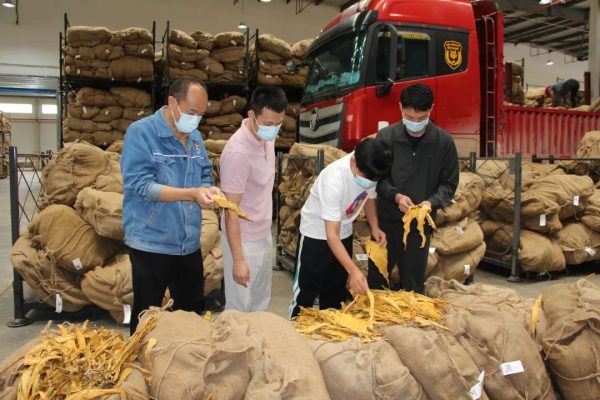 会东快讯网，会东快讯动态插图2