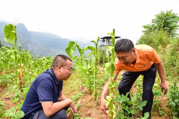 会东网资讯，会东县疫情最新消息插图