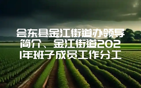 会东县金江街道办领导简介、金江街道2021年班子成员工作分工-会东网