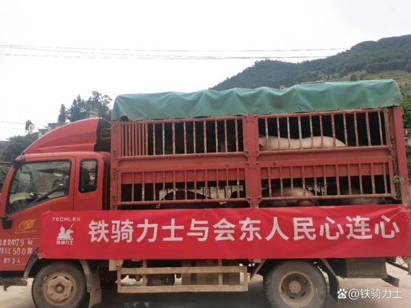 川滇明珠|会东疫情最新消息插图1 川滇明珠|会东疫情最新消息插图1