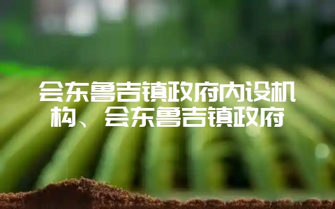 会东鲁吉镇政府内设机构、会东鲁吉镇政府-会东网