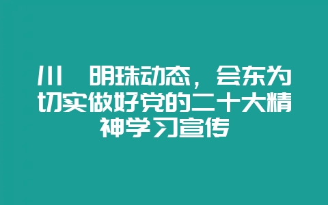 川滇明珠动态,会东为切实做好党的二十大精神学习宣传-会东网