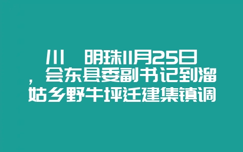 川滇明珠11月25日,会东县委副书记到溜姑乡野牛坪迁建集镇调研-会东网
