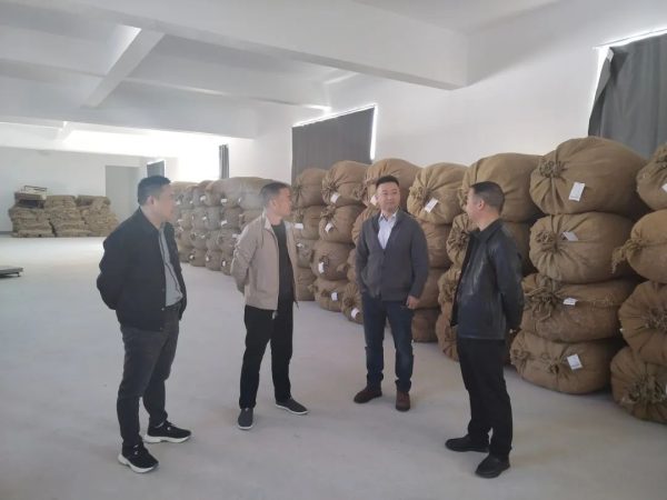 图片[1]-会东网，11月15日，四川省品牌建设促进会副会长汪尚年-会东网