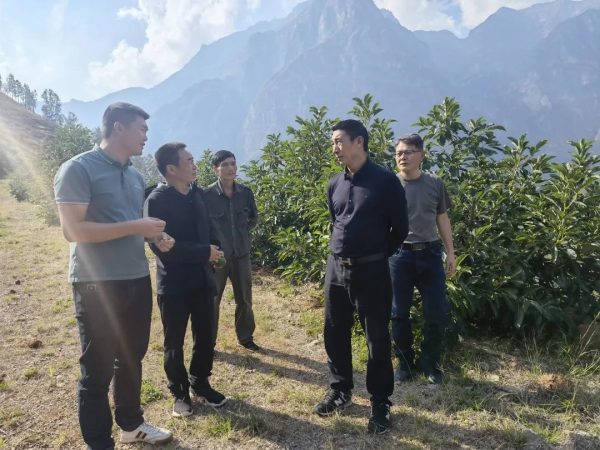 会东网|会东县政协主席杨清林到老君滩乡、淌塘镇督导调研插图