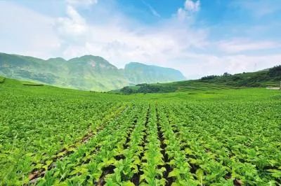 川滇明珠介绍，川滇明珠会东背景资料，会东为什么叫川滇明珠？插图2