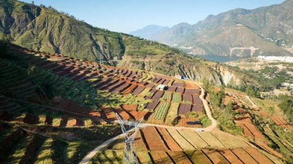 川滇明珠资讯,会东产业发展是移民群众致富的基础插图4 川滇明珠资讯,会东产业发展是移民群众致富的基础插图4