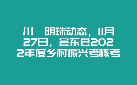 川滇明珠动态,11月27日,会东县2022年度乡村振兴考核考评-会东网