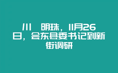 川滇明珠，11月26日，会东县委书记到新街调研-会东网