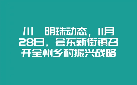 川滇明珠动态,11月28日,会东新街镇召开全州乡村振兴战略插图 川滇明珠动态,11月28日,会东新街镇召开全州乡村振兴战略插图