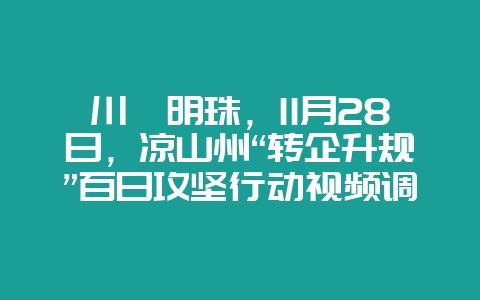 川滇明珠,11月28日,凉山州“转企升规”百日攻坚行动视频调度会-会东网