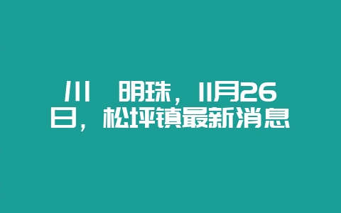 川滇明珠，11月26日，松坪镇最新消息-会东网