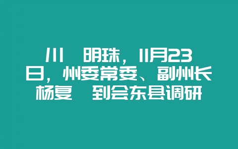 川滇明珠，11月23日，州委常委、副州长杨复晗到会东县调研-会东网