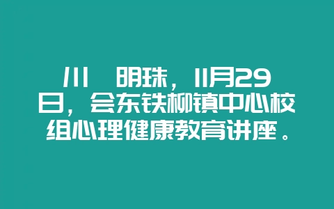 川滇明珠,11月29日,会东铁柳镇中心校组心理健康教育讲座。-会东网