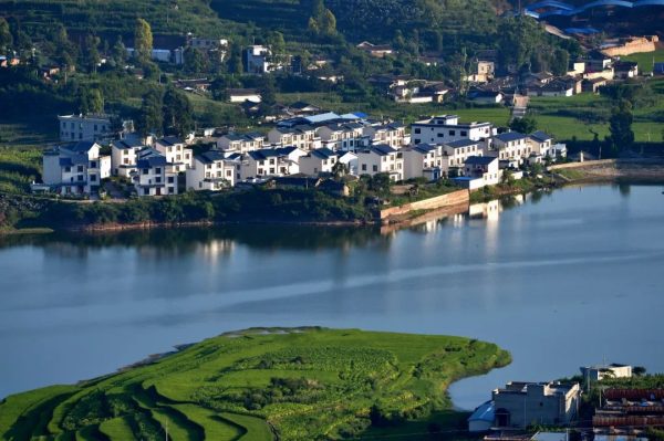 川滇明珠官网|会东县第七届“黑山羊·黑松露”美食节正在火热进行中插图5