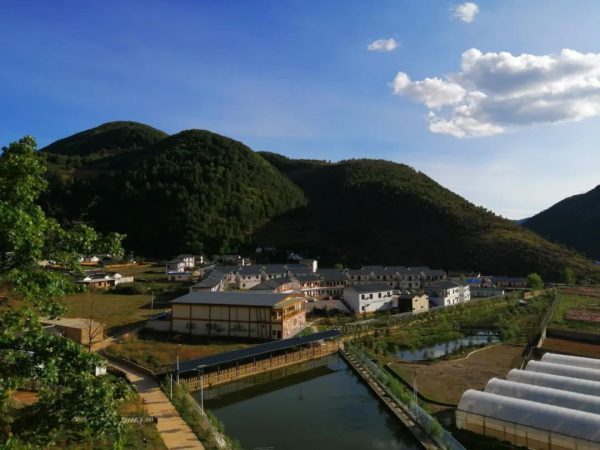 川滇明珠官网|会东县第七届“黑山羊·黑松露”美食节正在火热进行中插图14