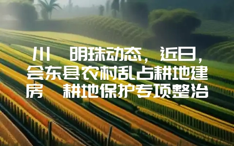 川滇明珠动态，近日，会东县农村乱占耕地建房暨耕地保护专项整治工作推进会召开-会东网