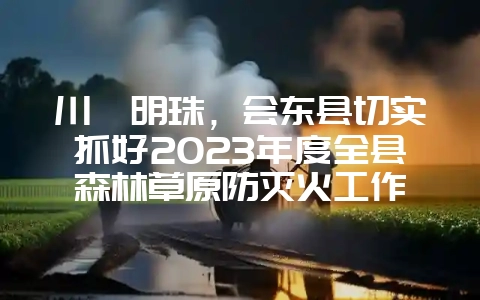 川滇明珠，会东县切实抓好2023年度全县森林草原防灭火工作-会东网
