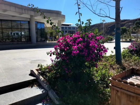 川滇明珠会东姜州介绍?会东县高速路介绍?插图3 川滇明珠会东姜州介绍?会东县高速路介绍?插图3