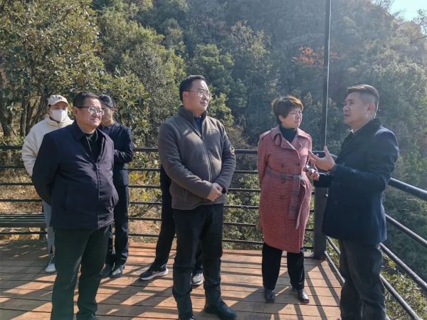 会东，1月18日，孙云华到老君峰景区督导调研-会东网