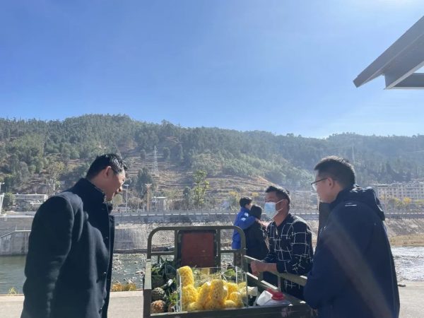 会东网在线，会东门户网插图