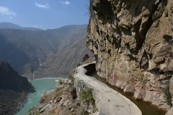 会东县林草局消息，会东林草局动态插图