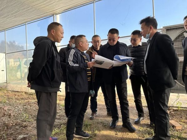 会东网,1月8日,州烟草专卖局(公司)到会东县调研-会东网