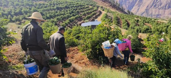 会东县淌塘镇中坪子村，会东县淌塘镇插图