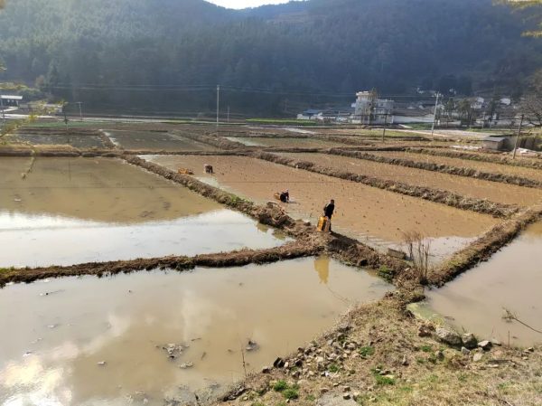 会东县各地按下春耕备耕“快进键”插图 会东县各地按下春耕备耕“快进键”插图