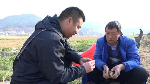 会东县各地按下春耕备耕“快进键”插图2 会东县各地按下春耕备耕“快进键”插图2