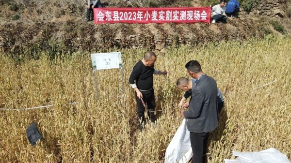 会东网在线资讯,会东官网动态插图8 会东网在线资讯,会东官网动态插图8