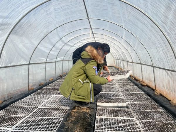 会东烤烟大县,会东三农官网插图1 会东烤烟大县,会东三农官网插图1