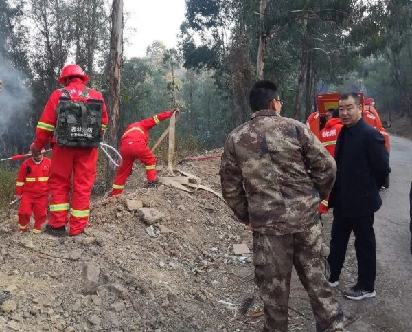 会东网在线，会东金沙街道消息插图