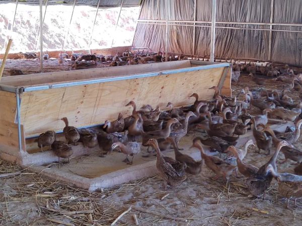 会东县创业政策、会东县经济发展介绍?插图 会东县创业政策、会东县经济发展介绍?插图