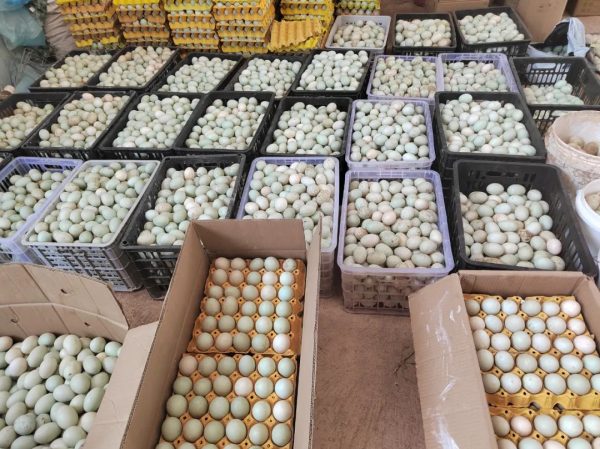 会东县创业政策、会东县经济发展介绍?插图3 会东县创业政策、会东县经济发展介绍?插图3