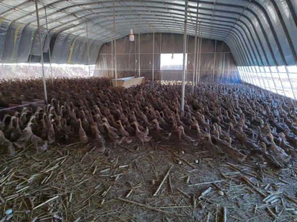 会东县创业政策、会东县经济发展介绍?插图1 会东县创业政策、会东县经济发展介绍?插图1