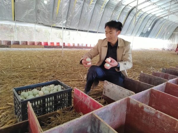 会东县创业政策、会东县经济发展介绍?插图4 会东县创业政策、会东县经济发展介绍?插图4