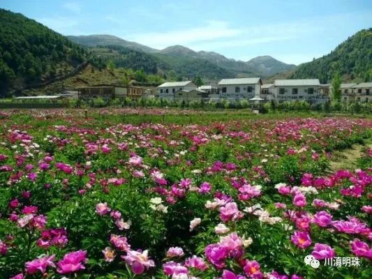 会东旅游景点有哪些地方好玩(了解会东哪些地方值得一去的景点推荐)?插图 会东旅游景点有哪些地方好玩(了解会东哪些地方值得一去的景点推荐)?插图