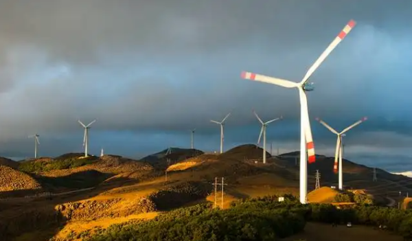 会东网app-会东网