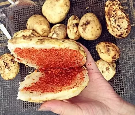 探寻会东县的网红美食与打卡圣地？会东网红美食推荐攻略！插图1