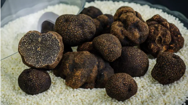 会东特产有哪些土特产?-会东网