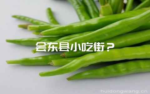 会东县小吃街?-会东网