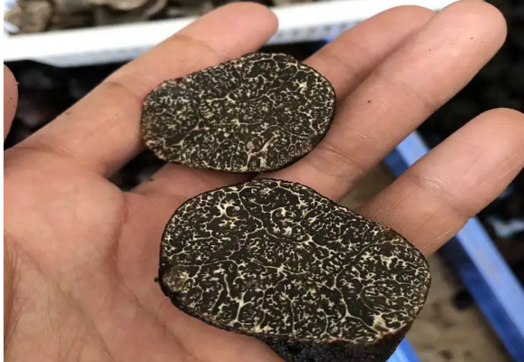 四川省凉山州会东美食(四川凉山州会东地域特色)插图2 四川省凉山州会东美食(四川凉山州会东地域特色)插图2