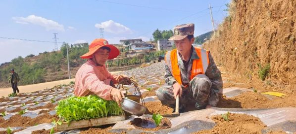 会东农作物(种植在会东县的农作物)?插图1 会东农作物(种植在会东县的农作物)?插图1