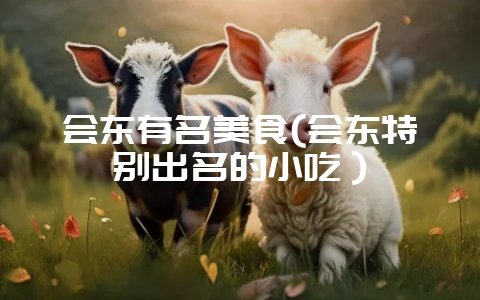 会东有名美食(会东特别出名的小吃)-会东网