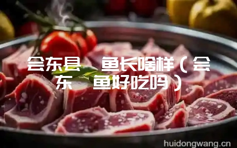 会东县鲹鱼长啥样(会东鲹鱼好吃吗)-会东网