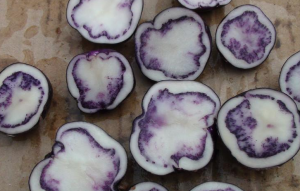 四川会东特特产(会东特产有啥子)-会东网